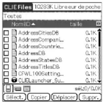 SONY Clié PEGNX73V - Conseil - 1