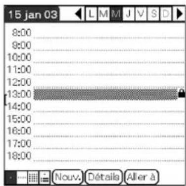 SONY Clié PEGNX73V - Conseil - 2