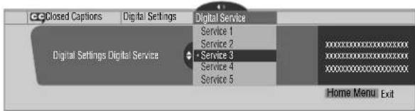 PIONEER PDP4271HD - Selecting digital closed captions - 1