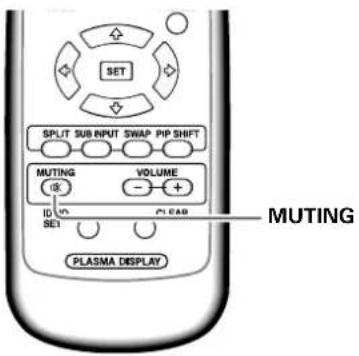PIONEER PDP427CMX - Muting the sound - 1
