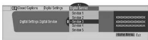 PIONEER PDP4280HD - Selecting digital closed captions - 1