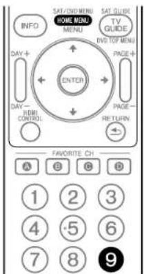 PIONEER PDP4280HD - Using the POD service - 1