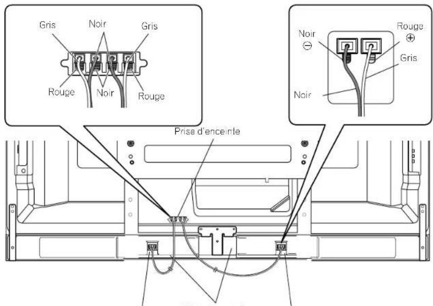 PIONEER PDP4280HD - Connectez l'autre extrémité des cables d'enceinte aux enceintes. - 1