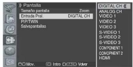 PIONEER PDP42A3HD - Visualización de la fuente de entrada - 1
