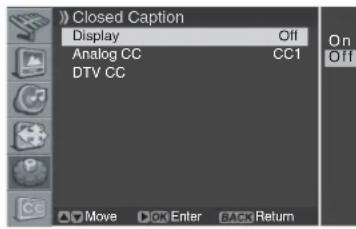 PIONEER PDP42A3HD - Viewing Closed Caption Information - 1