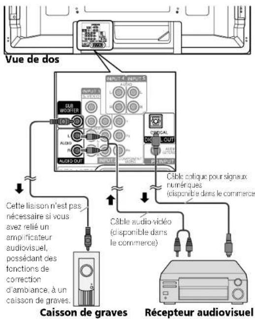 PIONEER PDP5080HD - Connexion d'autres appareils audio - 1