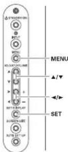PIONEER PRO1010HD - Picture Adjustment (1) - 1
