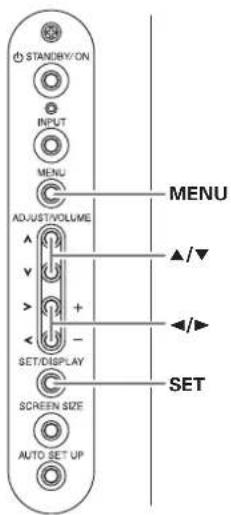 PIONEER PRO1010HD - Picture Adjustment (1) - 1