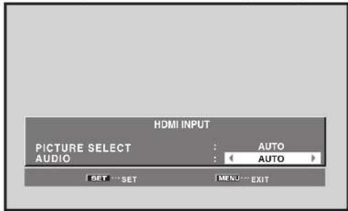 PIONEER PRO1010HD - Use the / buttons to select [AUDIO]. - 1