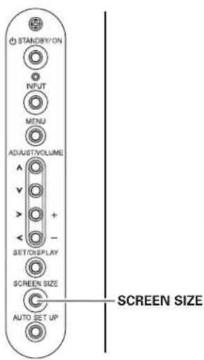 PIONEER PRO1010HD - Screen size selection - 1