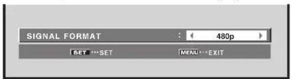 PIONEER PRO1010HD - System Settings - 4