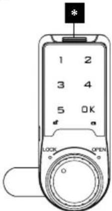 MANHATTAN 716000 - Replace batteries: Remove - 1