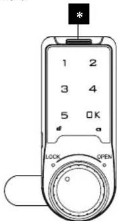 MANHATTAN 716000 - Pile - 1