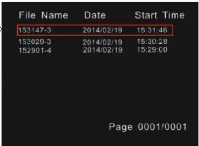 File Name Date Start Time 153147-3 2014/02/19 15:31:46 153029-3 2014/02/19 15:30:28 152901-4 2014/02/19 15:29:00 Page 0001/0001