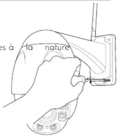 les à la nature