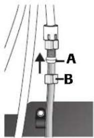 A B