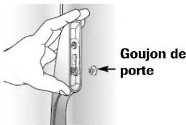 Goujon de porte