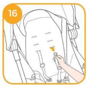 Joie Muze - 13