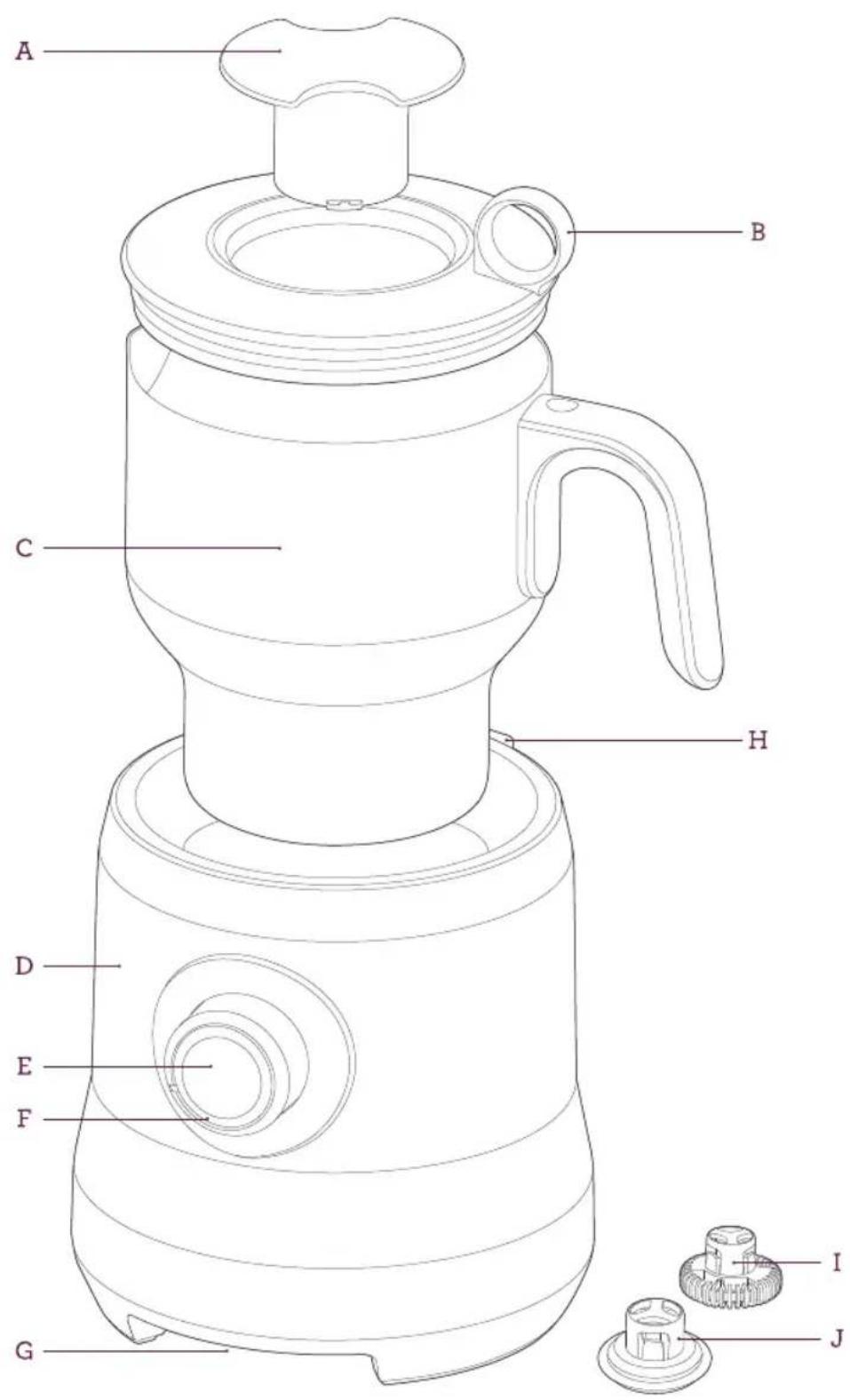 BREVILLE the Milk Cafe BMF600XL - FAITES LA CONNAISSANCE - 1