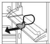 LIEBHERR CS 1360 - Removing the bottle holder - 1