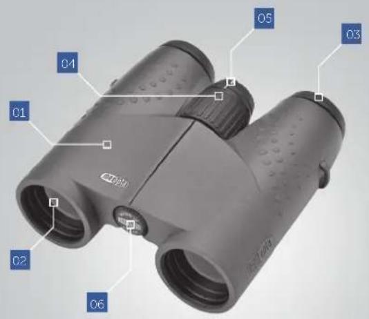 Meopta MeoStar B1 12x50 - Immagine brillante - 1