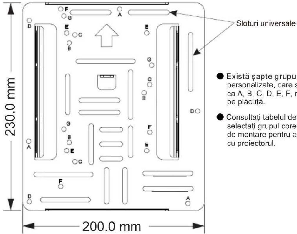OPTOMA OWM3000ST - Utilizând orificiile personalizate de montare pentru a conecta projectorul - 1