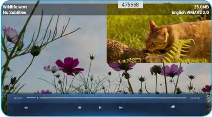 OPTOMA OP861RKe - Lecture de vidéos - 2