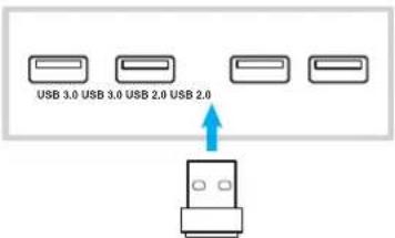 OPTOMA OP861RKe - Réseau sans fil - 1