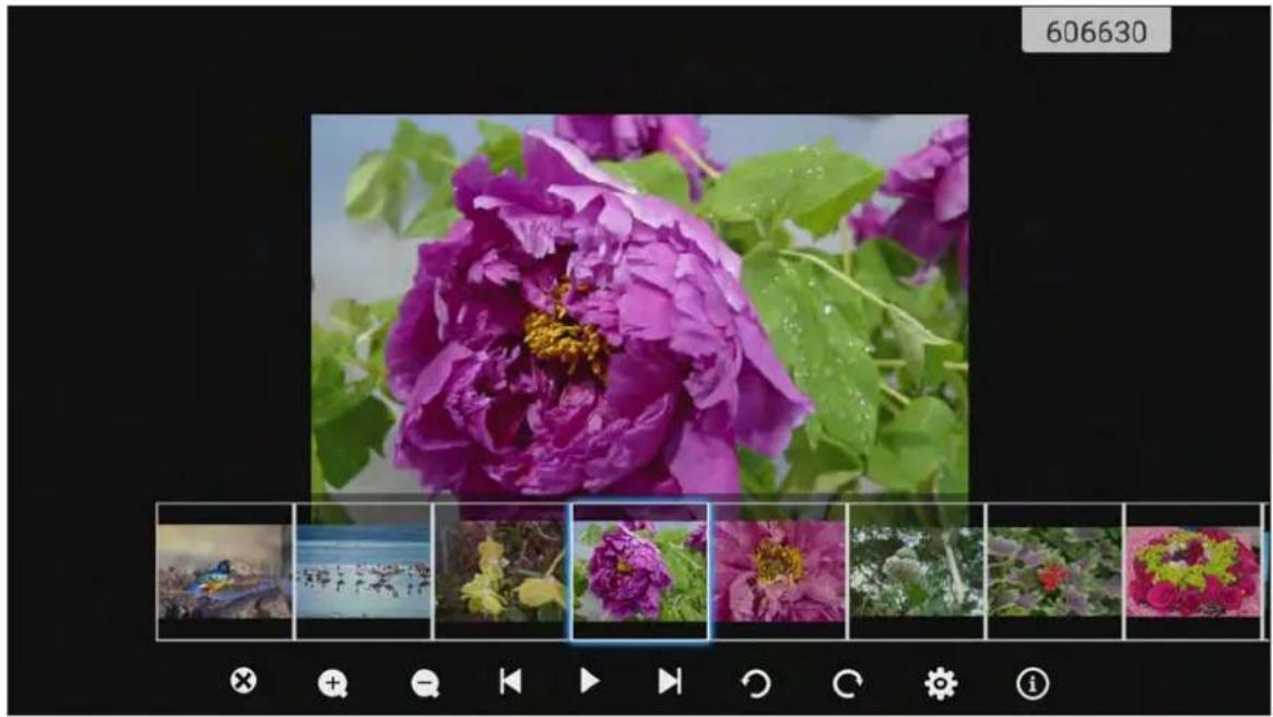 OPTOMA OP861RKe - Visualisation de photos - 1