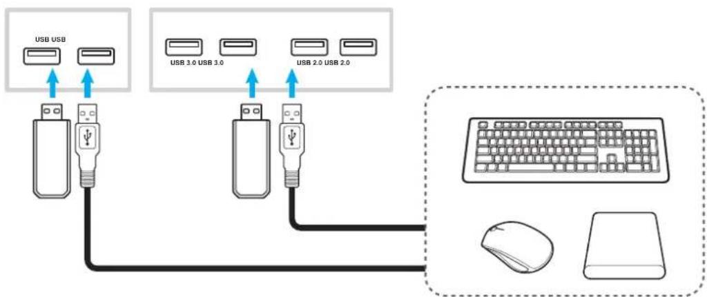 OPTOMA OP751RKe - Raccordement de sortie HDMI - 2