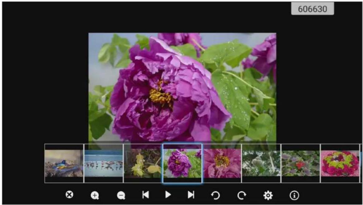OPTOMA OP751RKe - Visualisation de photos - 1