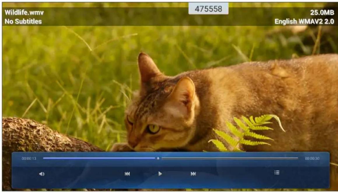 OPTOMA OP651RKe - Lecture de videos - 1