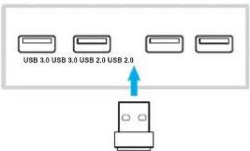 OPTOMA OP651RKe - Réseau sans fil - 1