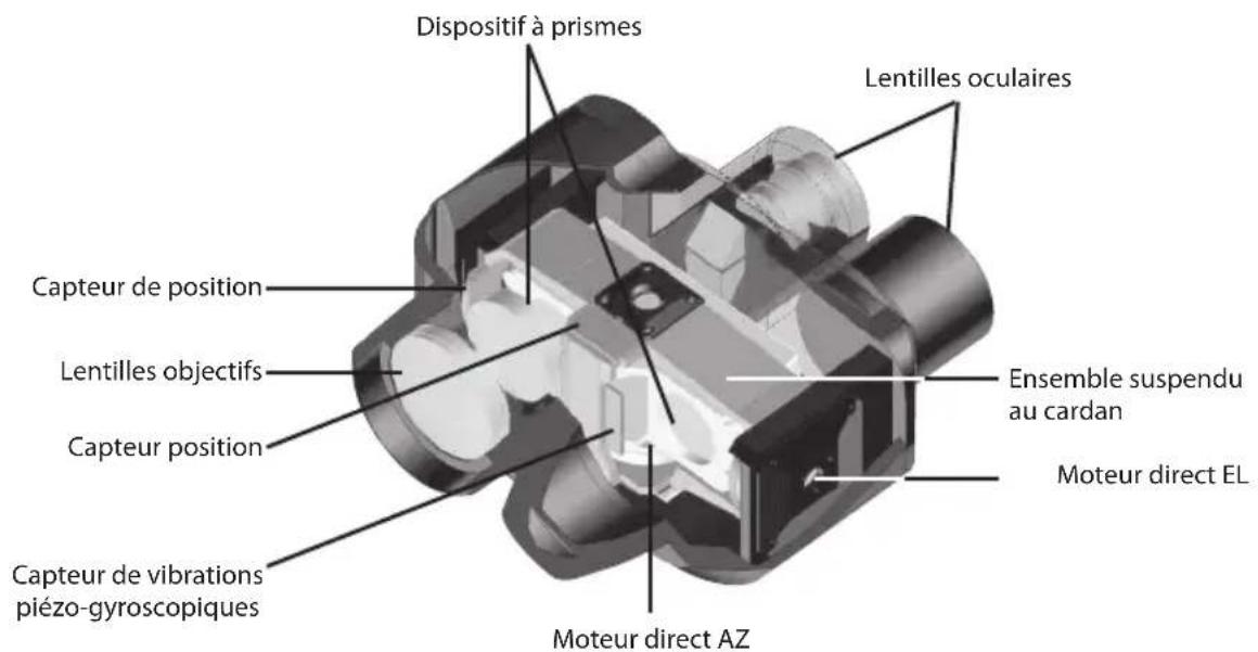 NIKON StabilEyes 16x32 - Stabilisation numérique d'image Fonctionnement - 1