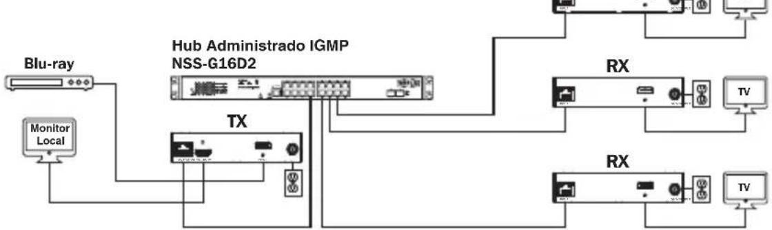 Tripp Lite B160100DPSI - Instalación Punto a Multipunto - Switch Administrado con IGMP - 2