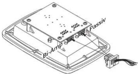 QSC AcousticPerformance AP5122m - Conexiones - 1