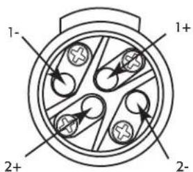 1- 2+ 1+ 2-