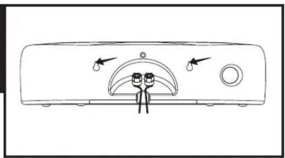 POLK Blackstone TL3 - Wall Mounting - 1