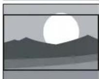 MAGNAVOX 47MF439B - Summary of picture formats - 5