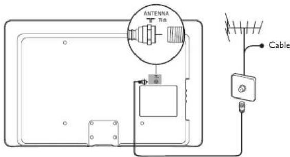 MAGNAVOX 47MF439B - Connexion de l'antenne ou du câble - 1