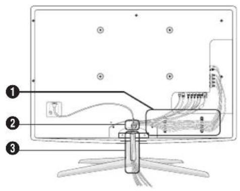 SAMSUNG UE55C6990 - Type support - 1