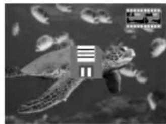 ION Omni Scan - Capture Mode (vastleggen) - 3