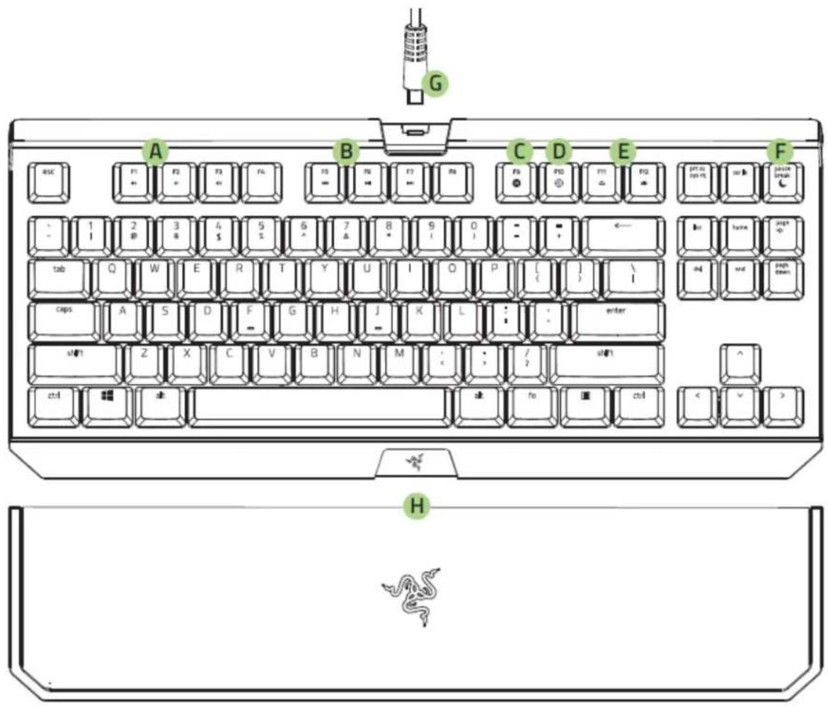 RAZER BlackWidow Tournament Edition Chroma - DISPOSITION DU CLAVIER - 1