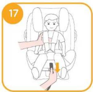 Joie Fortifi - ii. Securing your Child in the Child Restraint - 4