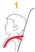 Joie Fortifi - for Head Support and Shoulder Harnesses - 1