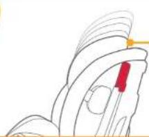 Joie Fortifi - for Head Support and Shoulder Harnesses - 3