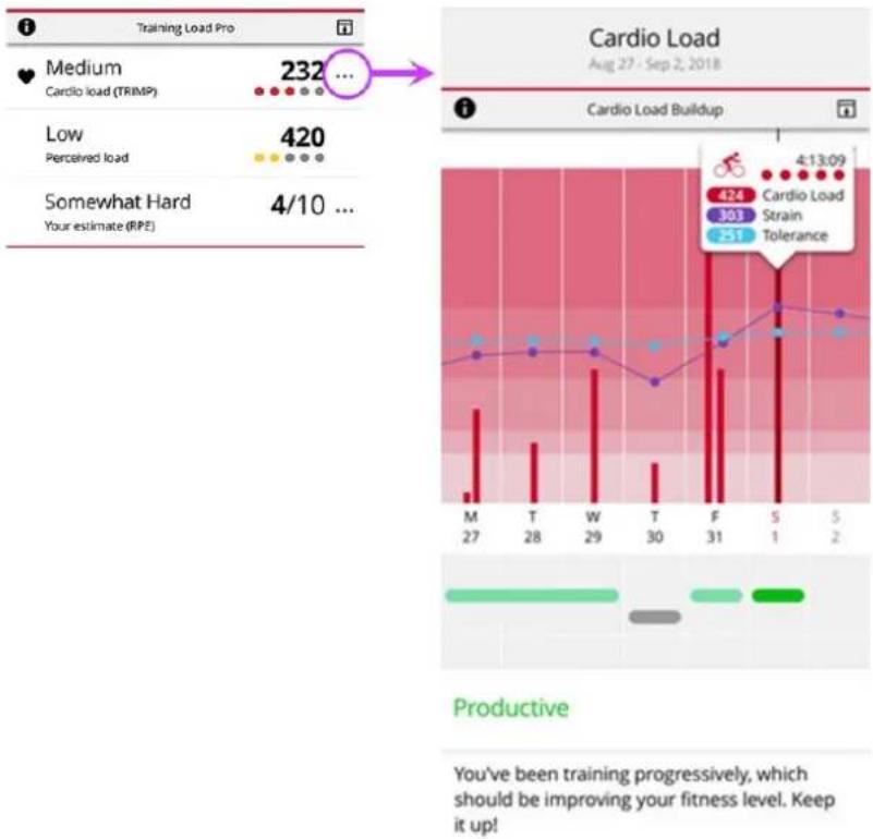 POLAR Ignite 2 - ANALYSE A LONG TERME DANS L'APPLICATION ET SUR LE SERVICE WEB FLOW - 1