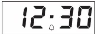 PRIVILEG PHVR6 OH5V1 IN - IMPOSTAZIONE DEL TIMER - 2