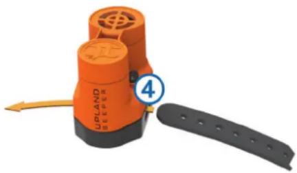 GARMIN Delta Upland - Fixation des apparèils à la sangle du collier - 2