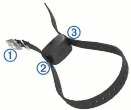 GARMIN Delta Upland - Fixation des apparèils à la sangle du collier - 1